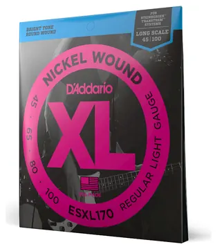 Daddario ESXL170 Regular Light 45-100