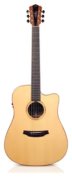 Cordoba D10-CE
