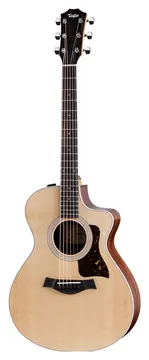 Taylor 212CE Westerngitaar met Element inclusief Gigbag