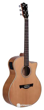 Tagima TW29 Eletroacústico Cordas Aço Cor Natural Satin (NS)