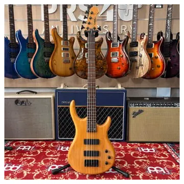 Epiphone Embassy Standard Bass V EBS-5 Natural - Basso Elettrico 5 corde