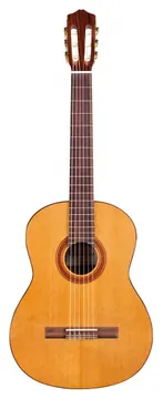 Cordoba C5