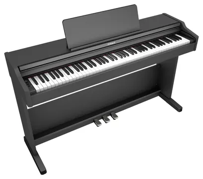 Roland RP-107 BKX