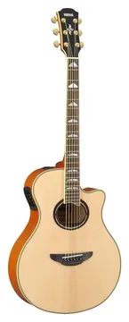 Yamaha APX1000N