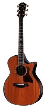 Taylor Builder's Edition 814ce 50th Anniversary Ltd con custodia