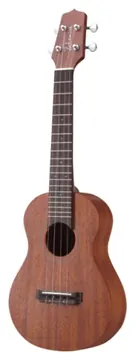 Takamine GUS1 Chitarra Acustica