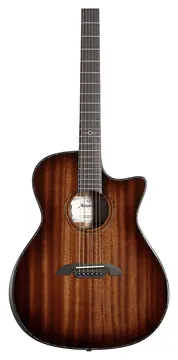 Alvarez Masterworks MG66ce Custom