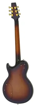 Aria Pro II PE-R100 Smokey Amber