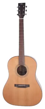 BSG Guitars DS 10 F