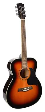 Richwood Artist Series Auditorium acoustic guitar RD-12
