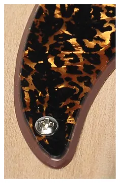 Boston JB-210-RBP pickguard