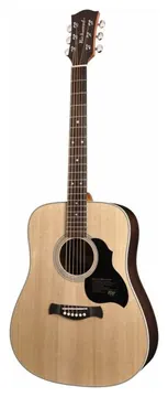 Richwood D60 Dreadnought Westerngitarre