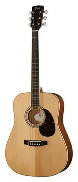 Cort Earth 100 NS
