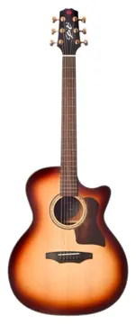 Seizi Supreme Ryu Cutaway Honey Burst
