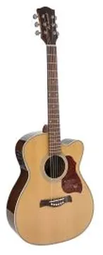 Richwood Master Series Handmade Auditorium OOO Guitar