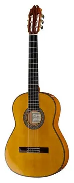 Juan Hernandez Flamenca Profesional SP