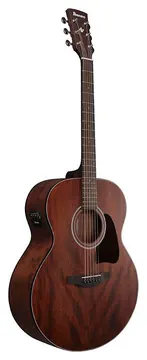 Ibanez Artwood AJ54E Electro-Acoustic - Open Pore Natural