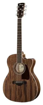 Ibanez AC340CE-OPN Artwood