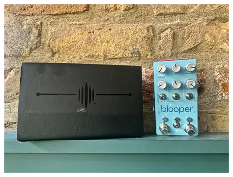 Chase Bliss Audio Blooper