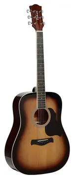 Richwood RD12SB Akoestische gitaar