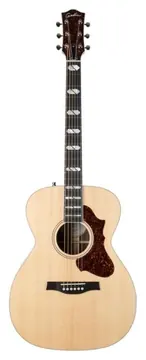 Godin Fairmount Concert Hall Limited Edition Rosewood HG EQ