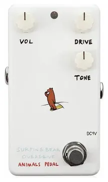 Animals Pedals Surfing Bear Overdrive