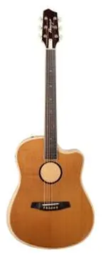 Baggs AEG-1 Torrefied