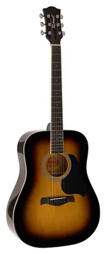 Richwood Artist Series RD-12-SB acoustic guitar