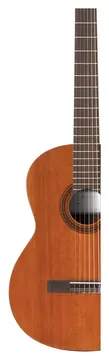 Cordoba C5 Cedar Left Handed