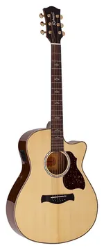 Richwood Artist Series RG-27-CE grand auditorium guitar