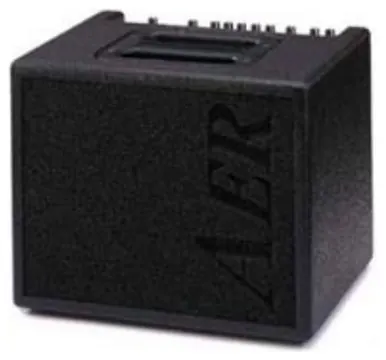 AER Compact Classic Pro Acoustic Combo Amp For Classical Instruments (60w)