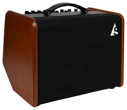 Godin ASG-8 Wood Akustikgitarren-Amp