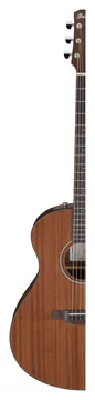 Ibanez AAM54 Open Pore Natural