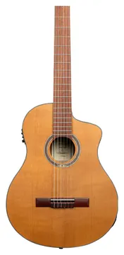 Ortega Thermo 4/4 + Pro Gig Bag