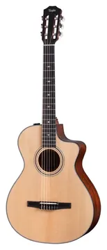 Taylor 312ce-N