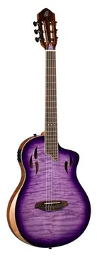 Ortega RTP-LTD2