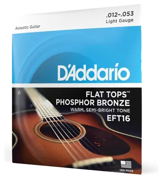 D"Addario EFT16 012/053 light flat tops phosphor bronze