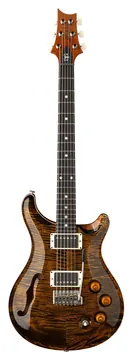 PRS DGT SH Tiger Eye Lune