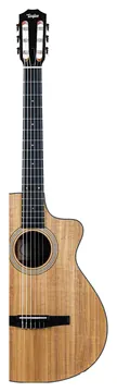 Taylor 112ce-N Nylon
