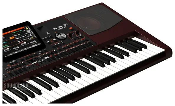 Korg PA1000 Professional Arranger