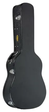Strinberg Case Strinberg Violao Folk Wsd