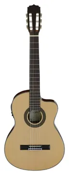 Aria AK-30CE-N