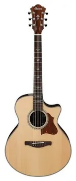 Ibanez AE510-NT