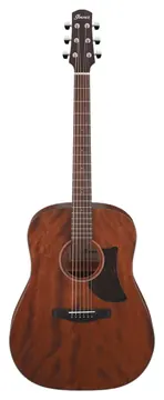 Ibanez Advanced Acoustic AAD140 - Open Pore Natural