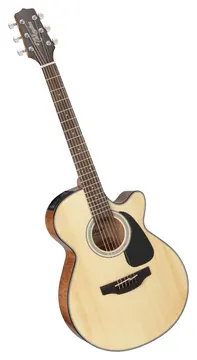 Takamine GF30CENAT