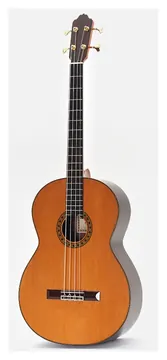 Esteve Octave Bass 4