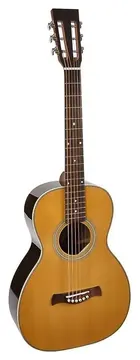 Richwood P-65-VA Chitarra acustica parlor