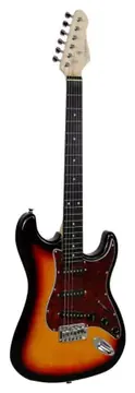 Giannini G-100 Stratocaster Sunburst Tortoise 3ts/tt (5701)