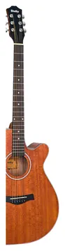 Shelby Folk Eletroacústico Aço Natural Satin SGA196C