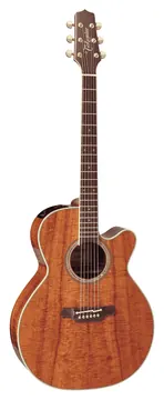 Takamine Japan Ef508Kc